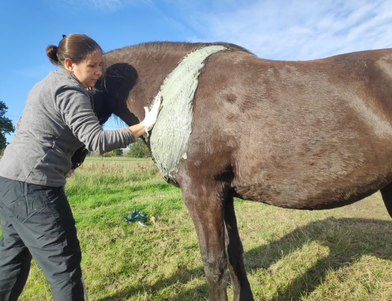 Massage et Algues