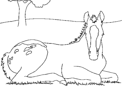 Maladie de l’herbe